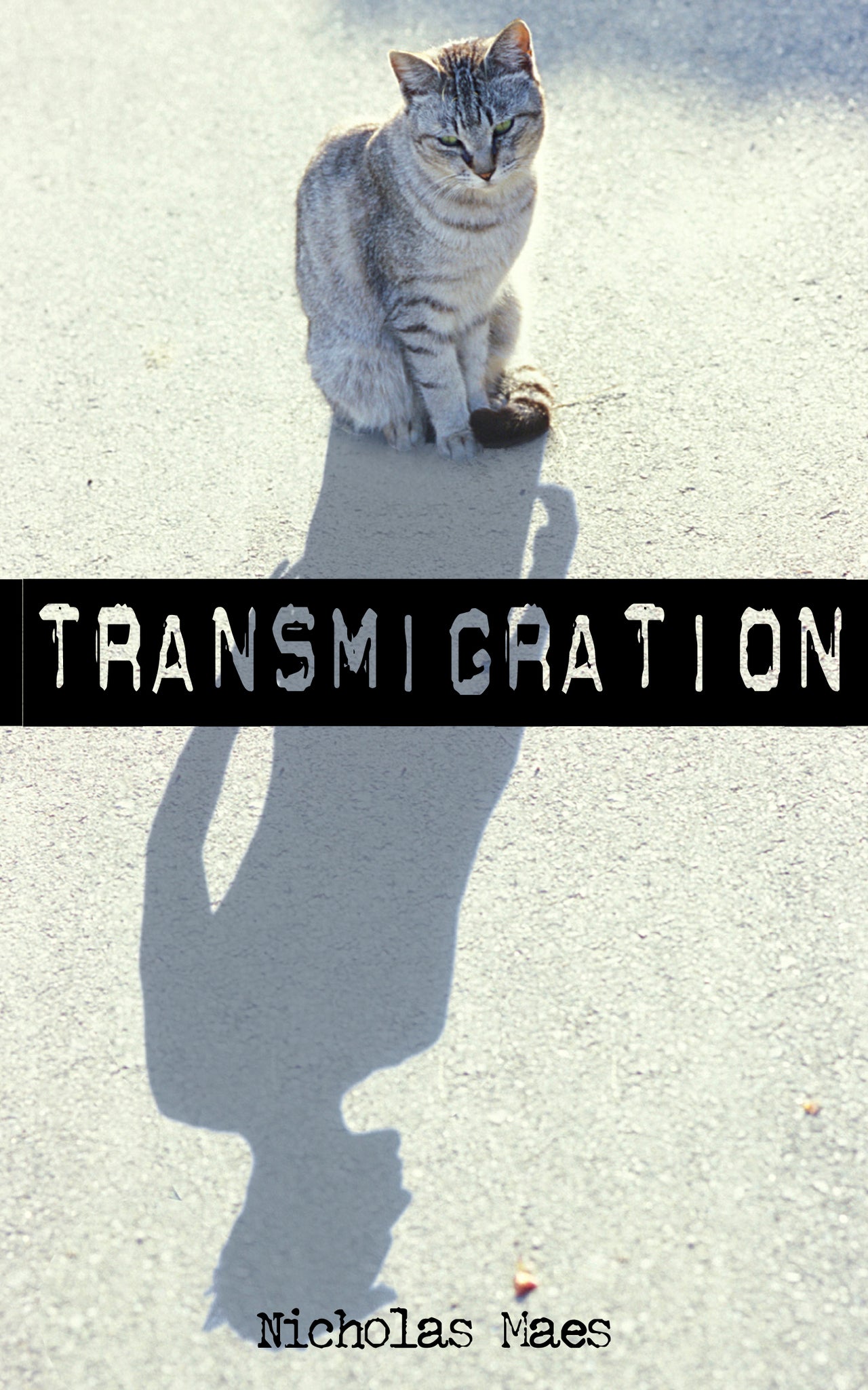 Cover image for Transmigration ISBN 9781459702318